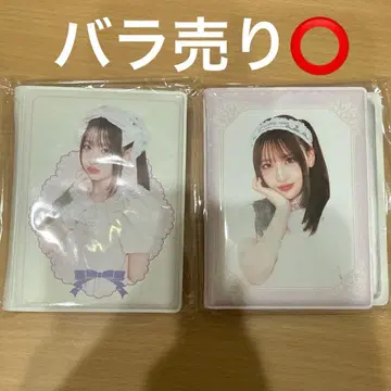 사쿠라바 하루카 폴라로이드 파일