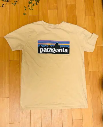 [ 레어 ] Patagonia 빈티지 티셔츠 백 프린트 베이지