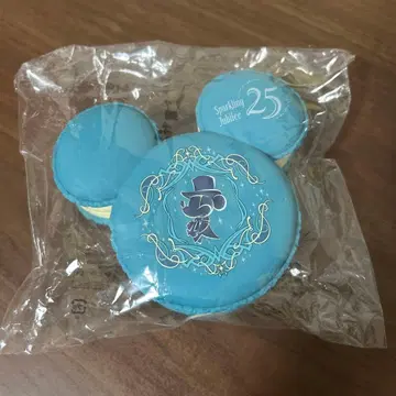 디즈니씨 25주년 마카롱 케이스 수베니어 케이스