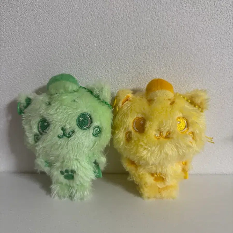 Nct Wish random color wish doll riku kuri pop up md doll | Bunjang