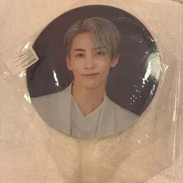 seventeen 세븐틴 세부치 정한 Ode to you 부채