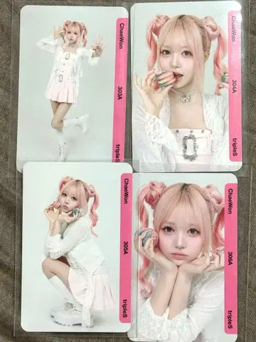 tripleS 채원 BB304 Chaewon