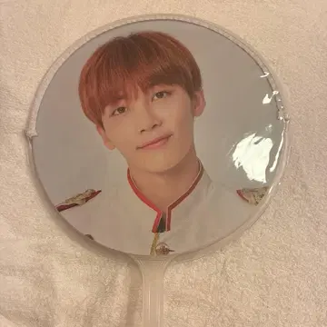 SEVENTEEN IDEAL CUT 정한 부채 부채 커버 포함