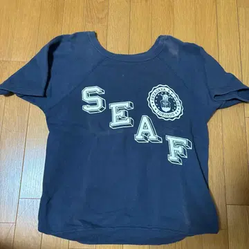 세타가야 베이스 반팔 맨투맨 페이드 런택