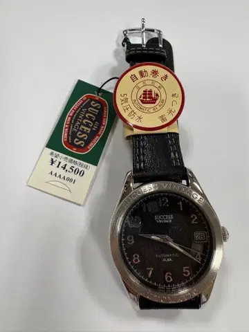 ALBA SUCCESS VINTAGE 자동 와인딩 시계 본체