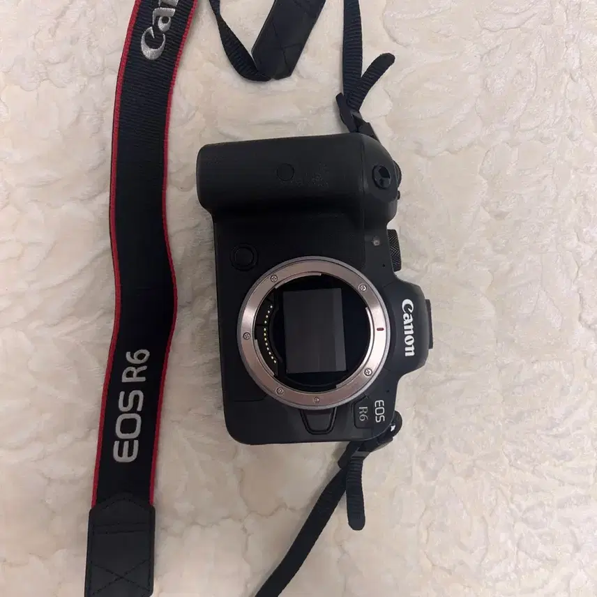 Canon EOS R6 미러리스 카메라 바디 대여합니다