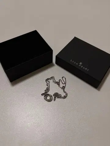 [한정판 전개] 'LH-1' 닻 체인 더블 링 목걸이