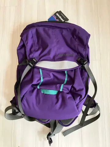Patagonia 파타고니아 크리티컬매스 팩 22L 백팩 새상품