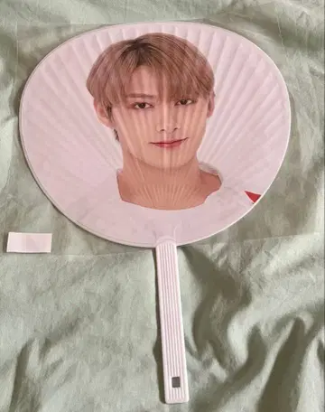 SEVENTEEN 준 부채