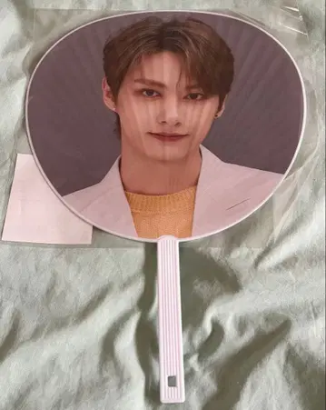 SEVENTEEN 준 부채