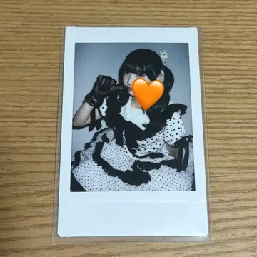iLiFE 코구마 마무 란체키