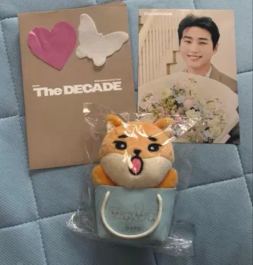 DAY6 KE 백참 youngK 일본 트레이딩 카드