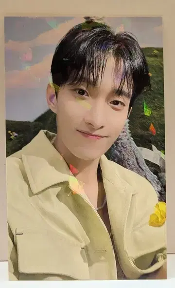 SEVENTEEN UMS LD DK SECTOR17