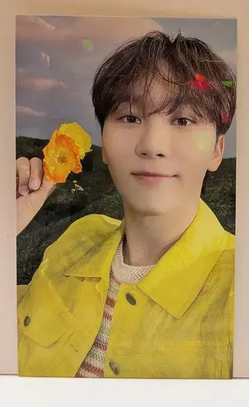 SEVENTEEN UMS LD SEUNGKWAN SECTOR17