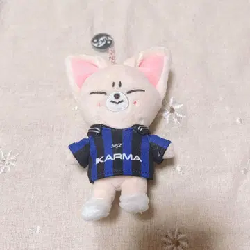 straykids skzoo KARMA 폭시니 아이엔