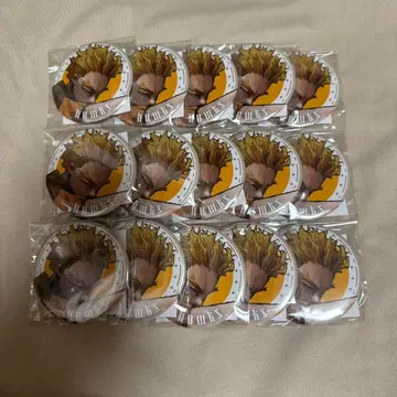 히로아카 GIGA 신십걸 전원 응모 서비스 캔뱃지 호크스
