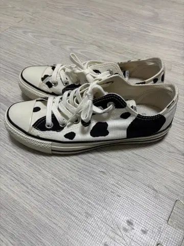 CONVERSE ALL STAR 올스타 소 패턴 로우컷 24cm