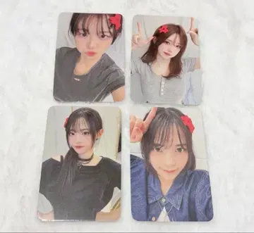QWER 트레이딩 카드 묶음 판매 이라이라