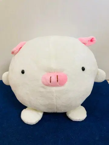 프리카 화이트 돼지 시토리린 시리즈 만마루 필로우 봉제 인형 마츠모토
