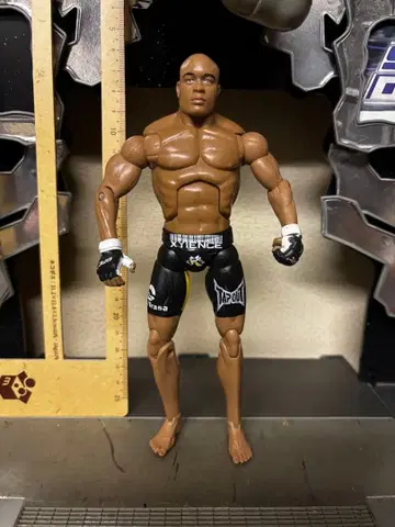 UFC 잭스 앤더슨 실바