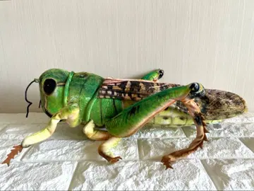 WILD GRAPHY 와일드그래피 메뚜기 봉제 인형