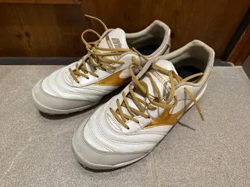 MIZUNO MORELIA 모렐리아 사라 프로 TF 27.0 최종 가격
