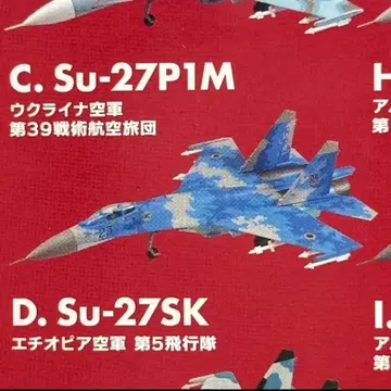 에프토이즈 프란카 패밀리 2 Su-27P1M 우크라이나 공군 C