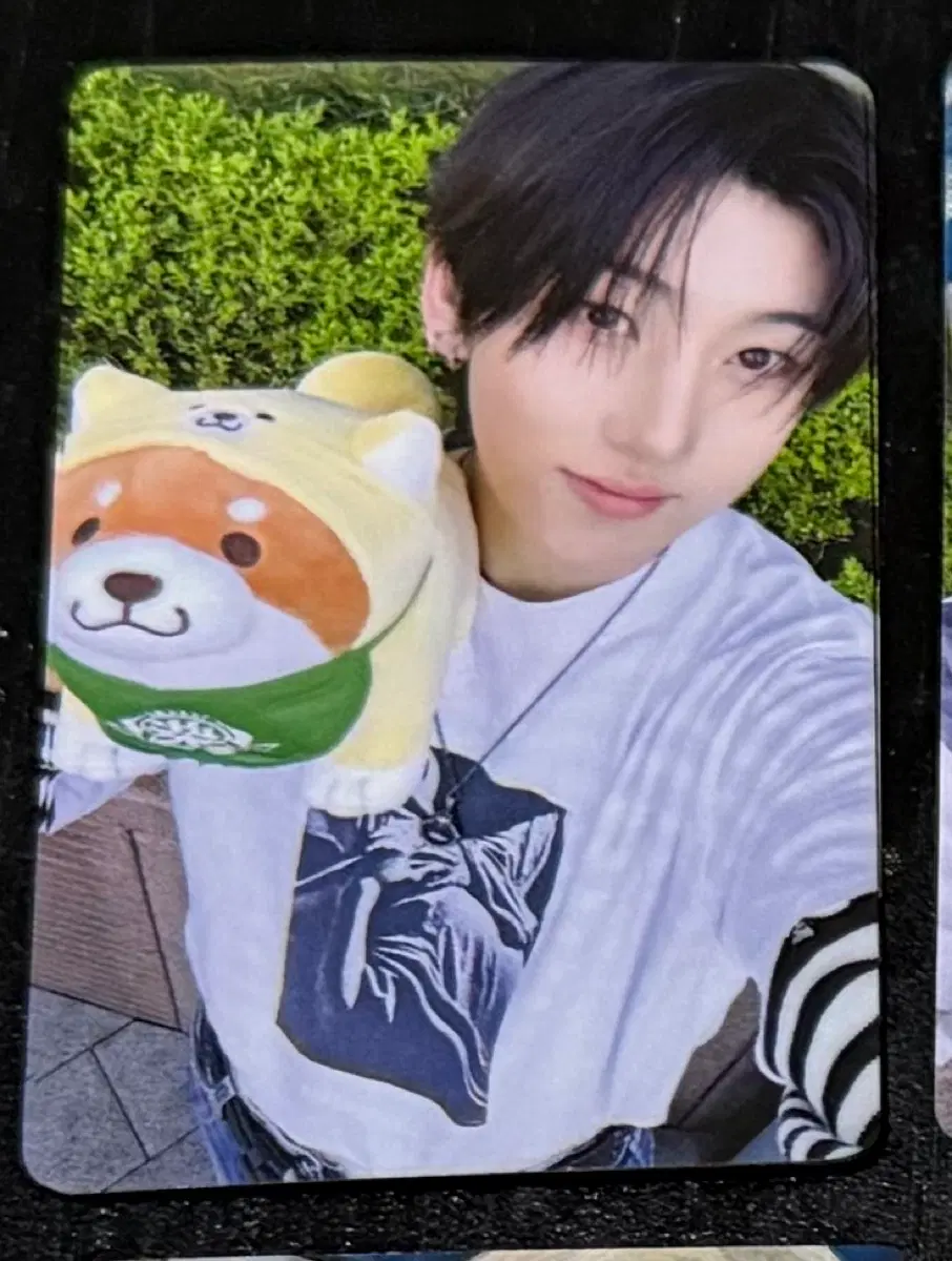 Kickflip Gyehun Mochi Shiba Tower Records unreleased photocard poca