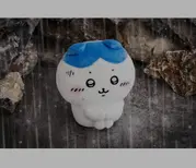 기쁨이없어 | 번개장터 중고거래