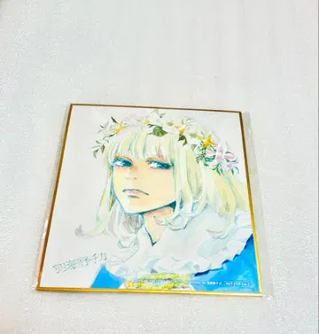 fgo 오베론 하르모니아 블룸 특전 색지