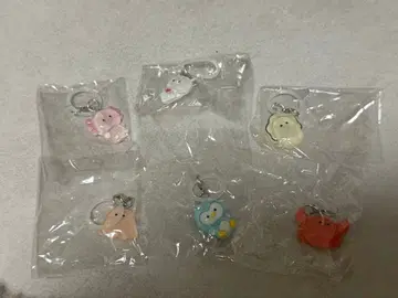 동그란 눈 메지루시 액세서리 가챠 참 컴플리트 컴프 바다
