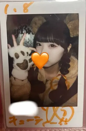 코구마 마무 생일 폴라로이드 곰 모습 코멘트 있음