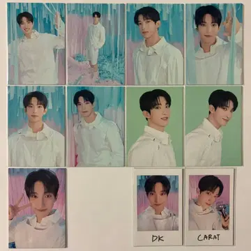 SEVENTEEN 도겸 YAKUSOKU 트레이딩 카드 인스턴트 11장