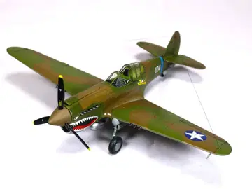 하세가와 1/48 P-40E 워호크 도색 완료 완성품 프라모델