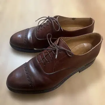 얀코 펀치캡토 24cm