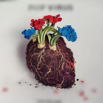 호시노 겐 초회반 3장 세트