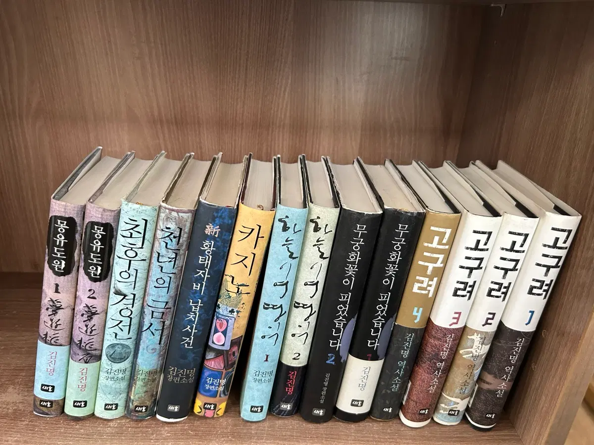 김진명소설 | 브랜드 중고거래 플랫폼, 번개장터 중고거래