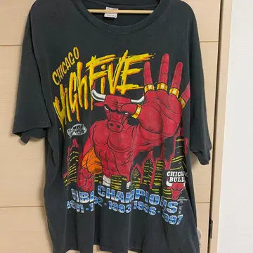 Chicago Bulls NBA Champions T셔츠 XXL