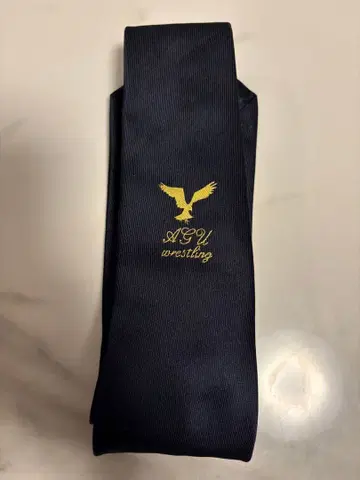 [레어 아이템] 아오야마 학원 대학 레슬링부 넥타이