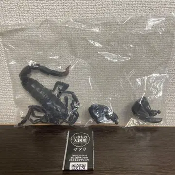 생물대도감 전갈 대왕전갈 대