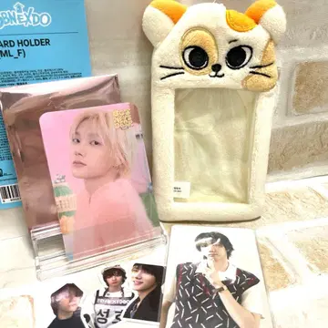 BOYNEXETDOOR 성호 푸넥도 트레이딩 카드 케이스 케피 카페