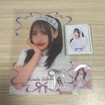 A.PiKi 스키복권 사쿠라바 하루카