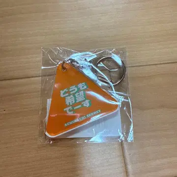 아치코치 오드리 아크릴 키링 호시노 겐 안녕하세요 희망입니다