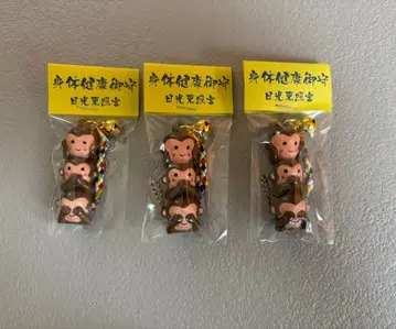 닛코 도쇼구 신체 건강 부적 삼원 스트랩 3개 세트