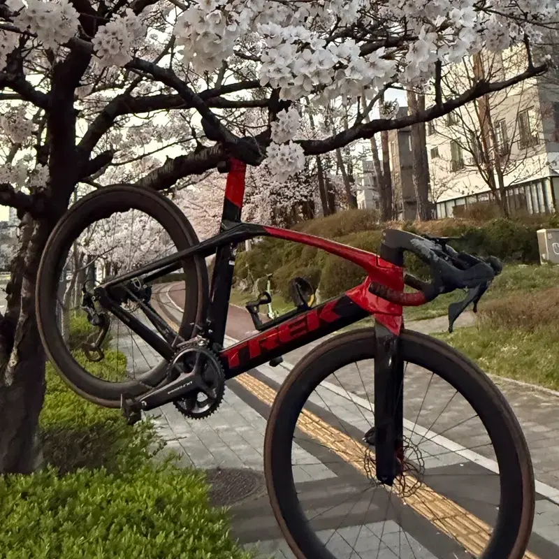 트렉 마돈 slr7 6세대 대차
