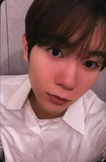 NCT WISH mu-mo RYO Steady