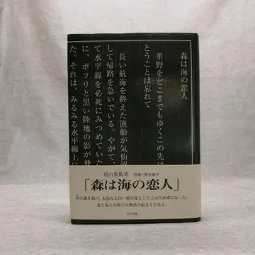 숲은 바다의 연인 하타케야마 시게아츠 무료배송 즉시 구매 가능