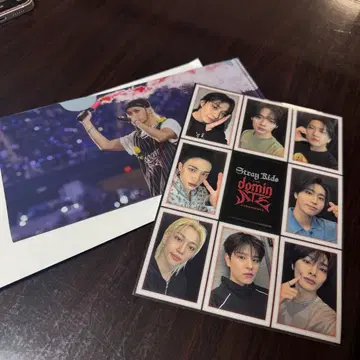 Stray Kids 스키즈 domin ATE 영화 특전 필릭스