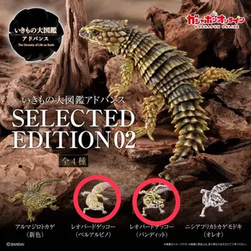 생물대도감 어드밴스 SELECTED EDITION02
