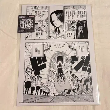 ONE PIECE ALL PAGES 임펠 다운 핸콕 2
